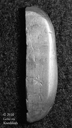 Click to enlarge.